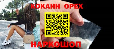стафф Кандалакша