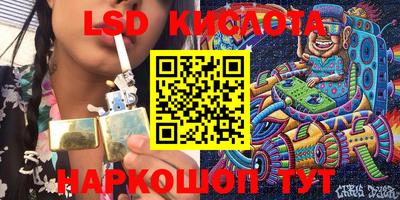 стафф Кандалакша