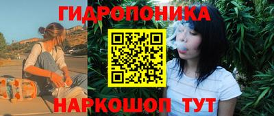 СК Канаш