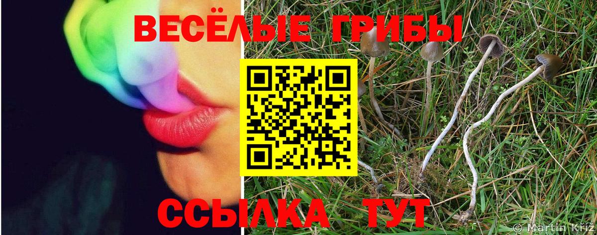 Псилоцибиновые грибы Psilocybine cubensis  дарнет шоп  Минусинск  Вход с VPN  Псилоцибиновые грибы MAGIC MUSHROOMS 